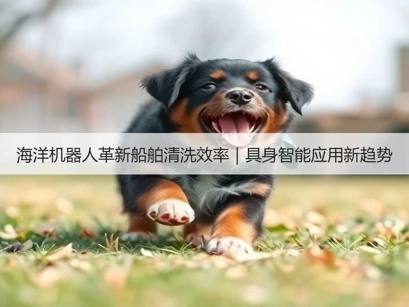 海洋机器人革新船舶清洗效率｜具身智能应用新趋势